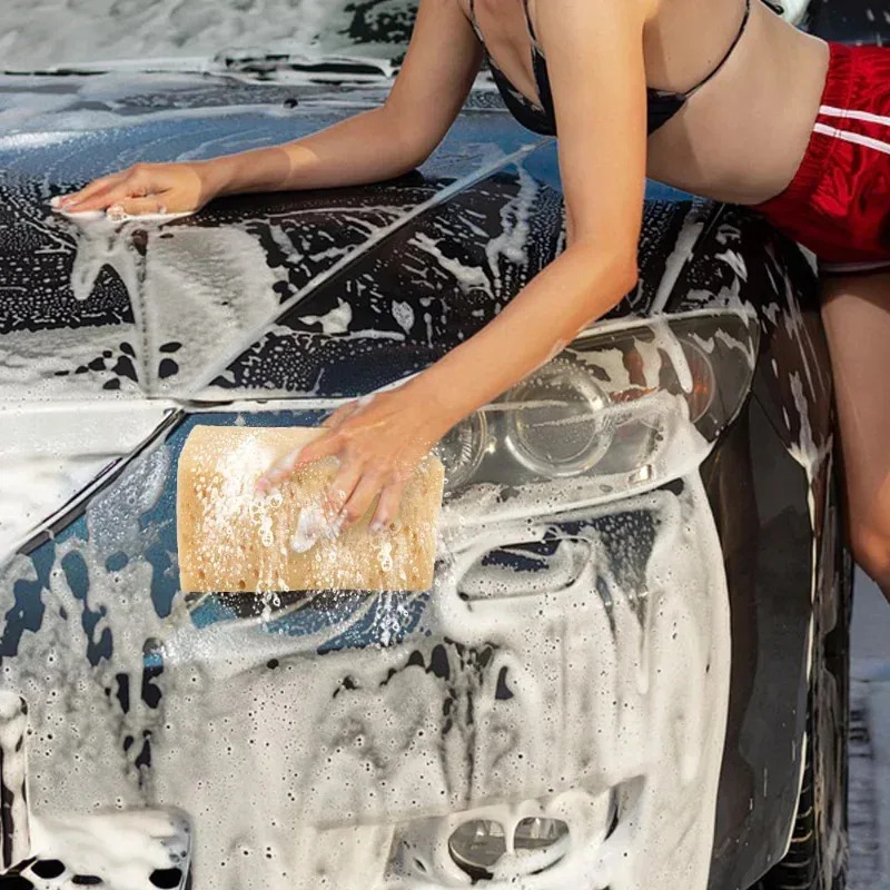 Araba Yıkama Süngeri Büyük Pet - Car Detailing Brush incelemesi ve fiyatı